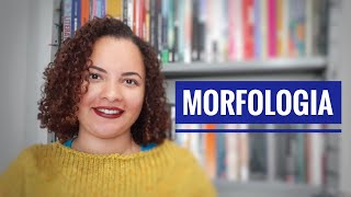 Morfologia  Níveis de análise linguística [upl. by Daniella]