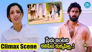 Paper Boy  Riya Suman Tanya Hope amp Santosh Sobhan Superhit Romantic Action Hindi Dubbed Movie [upl. by Ennalorac457]