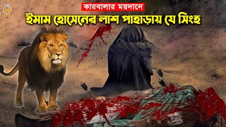 কারবালার ময়দানে ইমাম হোসেনের লাশ পাহাড়ায় যে সিংহ  Imam Hossain Karbalar kahini [upl. by Ernald941]