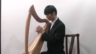 클래식음악 Cross Strung Harp A Little Piece for a Little Harp 하프 연주 ハープ演奏 豎琴 Hunggon Kim [upl. by Kamin262]