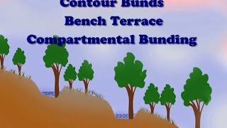 Contour Bunds Bench Terrace amp Compartmental Bunding [upl. by Singh]