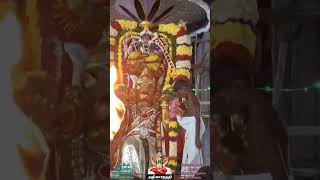 Sri Bala Tripurasundari Athikara nanthi Seva 5th day vizhaa [upl. by Hamel]