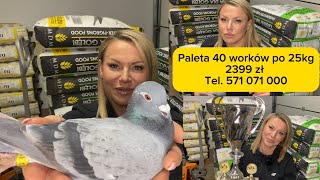 VLOG158 🎥Wybieramy imię dla PUPILI🕊️😊 Paleta karm MDM za 2399 zł [upl. by Uranie733]