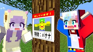 行方不明になった友達を探すマインクラフト😱【まいくら Minecraft】ぽっぴんず [upl. by Marentic]