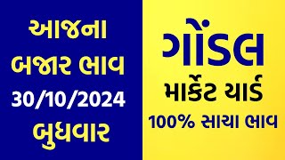 30102024 Gondal Marketyard Na Bajar Bhav  Aajna Bajar Bhav  Jetpur  Gondal  Unja  Rajkot [upl. by Wahs]