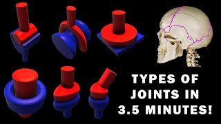 JOINT ANATOMY in 35 MINUTES [upl. by Raimundo]