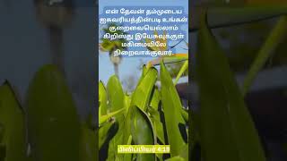 Bible verse tamil Nov 16dailybibleverse todaysgodsverse godswordtoday todaybiblesverse today [upl. by Nafri363]