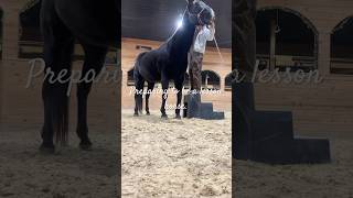 Restarting a horse learning to stand at the mounting block horse training shorts newbeginnings [upl. by Melamie]