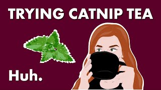 How Does Catnip Work and What Can It Do — Huh [upl. by Jojo]