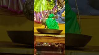 Bhongir urban kolani durga ma నవరాత్రి Abishakam video [upl. by Lauretta791]