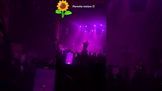 Florecita rockera en vivo reelsvideo reels aterciopelados medellin colombia [upl. by Asiled]