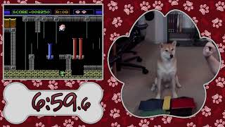 A Shiba Inu will speedrun at AGDQ 2024 Trailer [upl. by Eluk128]