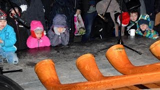 Waldweihnacht im Wildpark Schweinfurt 2015 [upl. by Acalia437]