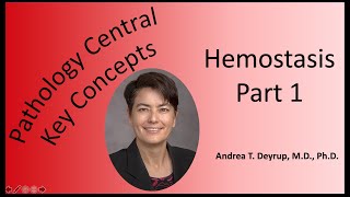 Pathology Central Key Concepts Hemostasis Part 1 [upl. by Aihsinyt240]