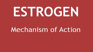 Mechanism of Action of Estrogen  Dr Shikha Parmar [upl. by Ylrebmit]