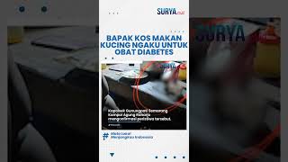 Viral Bapak Kos Semarang Konsumi 10 Kucing Ngaku Buat Obat Diabetes Daripada Saya Mati [upl. by Isaiah243]