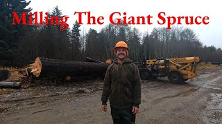 Milling The Giant Spruce [upl. by Remark591]