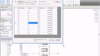 Tools4Revit BID  Rename Grids [upl. by Decker655]