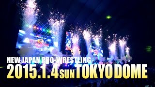 Buddyfight presents WRESTLE KINGDOM9 TVCM ver2 [upl. by Noda139]