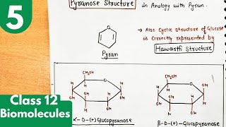 5 Pyranose or Haworth structure of glucoseglucopyranose structures Biomolecules class12 chemistry [upl. by Loferski]