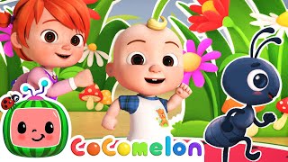 Ants Go Marching Dance  Dance Party  CoComelon Nursery Rhymes amp Kids Songs [upl. by Babcock]