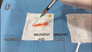 Diferencias entre Microfat y Nanofat CT [upl. by Isle]