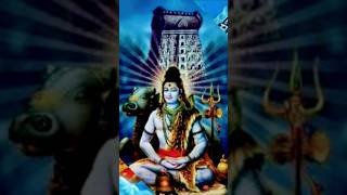 Bhole Baba Se Ka Maglu shorts mahadev bhajan [upl. by Nama]