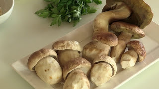 RISOTTO AI FUNGHI PORCINI  Video Ricetta  Grigio Chef [upl. by Nevsa357]