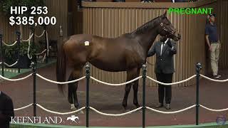 Keeneland Live Feed [upl. by Litman]