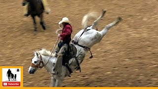 Bronc Riding  2023 Coors Cowboy Club Ranch Rodeo  Saturday Censored [upl. by Enitsirhk]