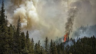 Varios muertos en la lucha contra incendios forestales en México [upl. by Tayler]