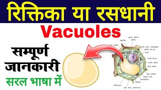 Vacuoles structure and function  rasdhani in biology  riktika in bio Vacuole  रसधानी या रिक्तिका [upl. by Airtina]