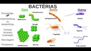 Aula 03 Microbiologia  Bactérias [upl. by Aisatnaf40]