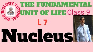 Nucleus  Karyon karyology Chromosome ch The fundamental unit of life class 9 [upl. by Aelyk647]