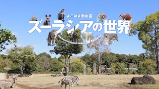 『よこはま動物園ズーラシアの世界』トレーラー・本編 ver [upl. by Hodge]