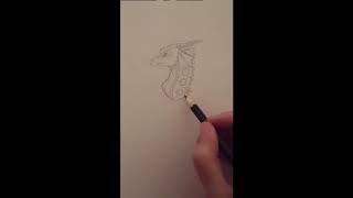 How to draw WoF Dragon Tribes  RainWing [upl. by Blinnie]