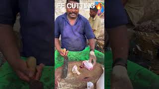 KASIMEDU🔥SPEED SELVAM LETHER JACKET FISH CUTTING VIDEO kasimeduselvam fishcutting youtubeshorts [upl. by Sivolc990]