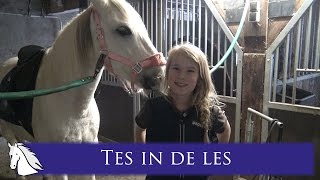 Tes in de les Halloween en een tip  Hart voor Paarden [upl. by Herv]