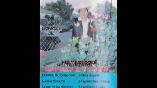 chago sanchez  jesus malverde  cassette 1994 [upl. by Kelson]