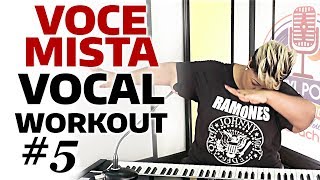 Cheryl Porter Vocal Workout  Voce mista [upl. by Leinod]