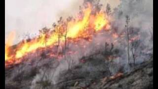 MAMOIADA  TENORE MAMUJADINU  CANZONE CONTRO GLI INCENDI [upl. by Orabelle]