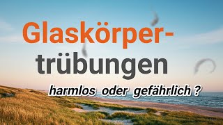 Glaskörpertrübungen und hintere Glaskörperabhebung [upl. by Galven]