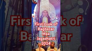 Jagadhatri Puja 2024  First Look of Bagbazar Chandannagar er Maa Jagadhtri  jagadhatri puja [upl. by Lachman]