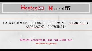 CATABOLISM OF ASPARTATE ASPARAGINE amp GLUTAMATE GLUTAMINE [upl. by Adnaram]