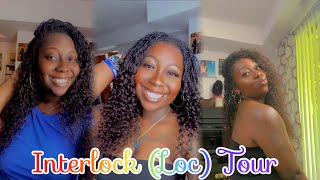 1 Month Interlocks amp 2 Week Curly Extensions  Microlocs [upl. by Fenwick]