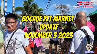 BOCAUE PET MARKET MALAPIT NA ANG DECEMBER KAYA BUMILI NA NG MGA MURANG PUPPY PANG REGALO vlog [upl. by Laumas]