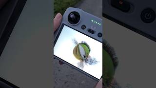 HOW TO create the tiny planet effect with your DJI Mini 3 Pro 🔥😲 shorts dji djimini3pro drone [upl. by Wager]