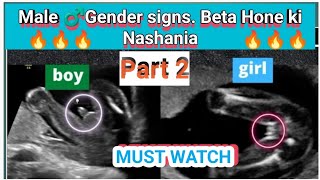 MALE GENDER SIGNS PART 2😎🔥 I BETA HONE KI NISHANIA IN URDU AND HINDI I [upl. by Lyle]