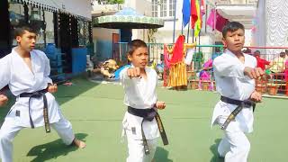 karate kata and demonstration 2075  shine model school [upl. by Ayotahc567]