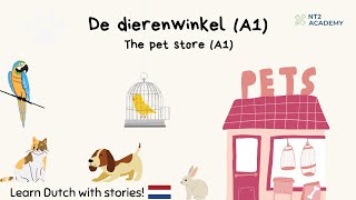 De dierenwinkel A1  Learn Dutch with Stories nt2 leernederlands learndutch [upl. by Llener905]